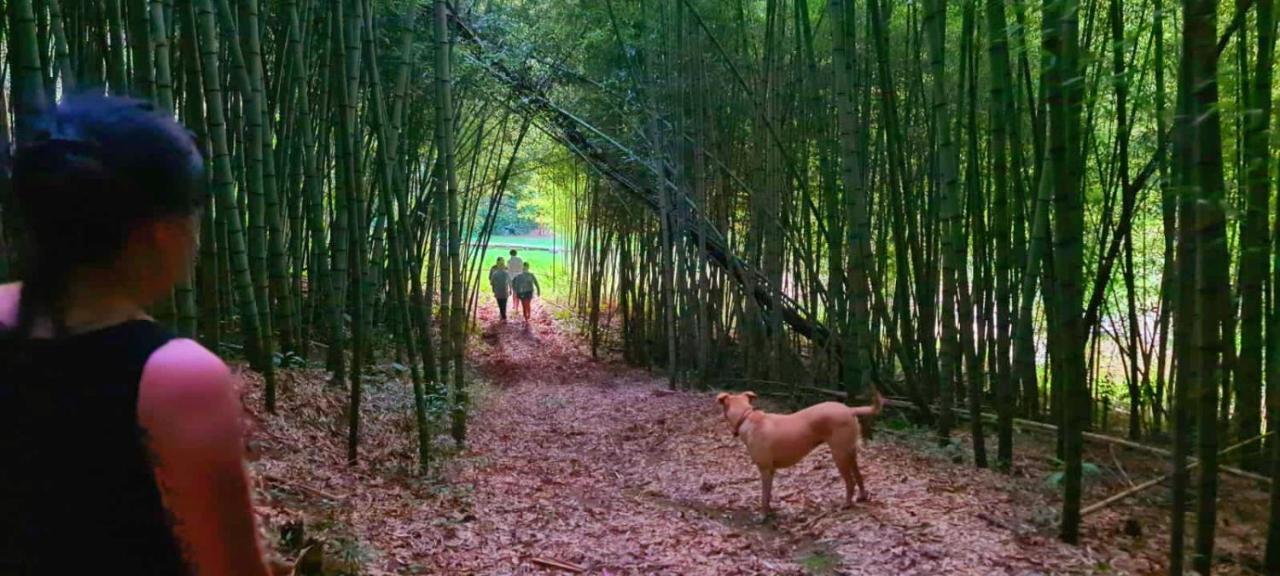 Pousada Green Valley São Roque Dış mekan fotoğraf